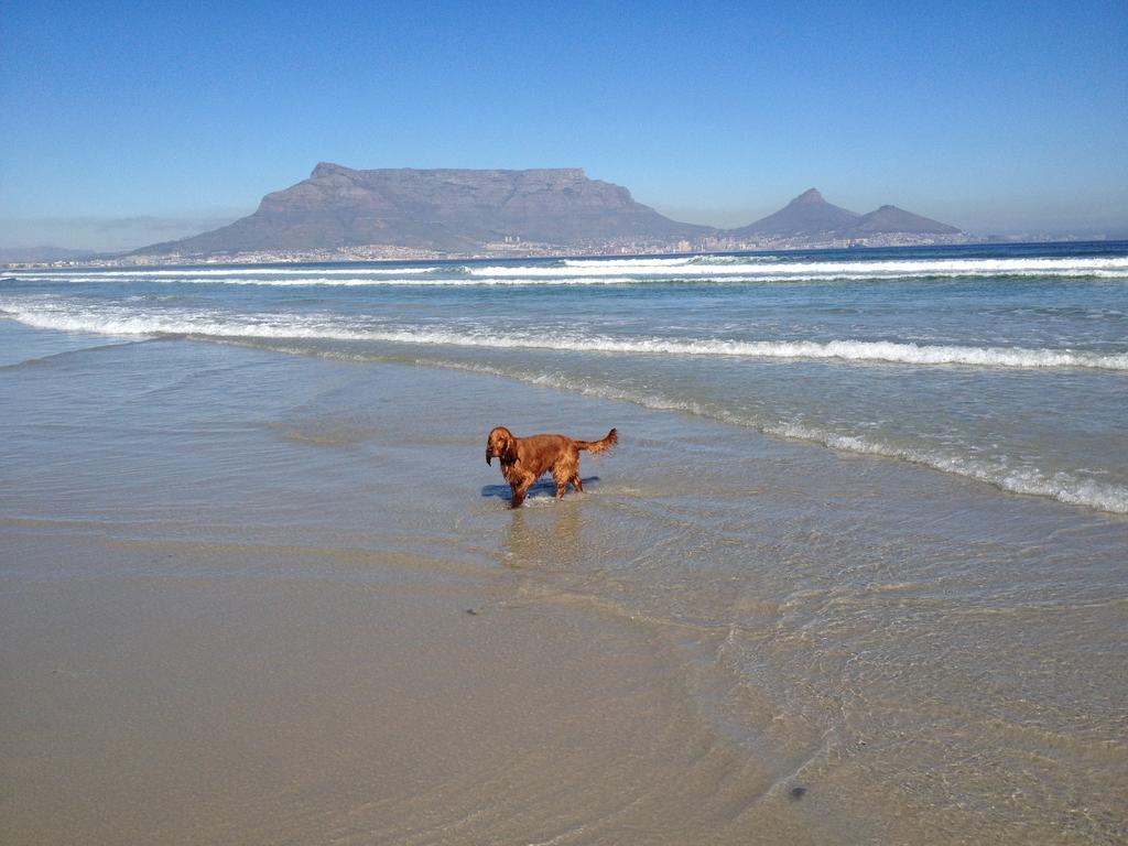Roman Retreat Cape Town Eksteriør bilde